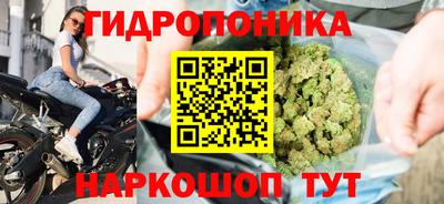 трава Партизанск