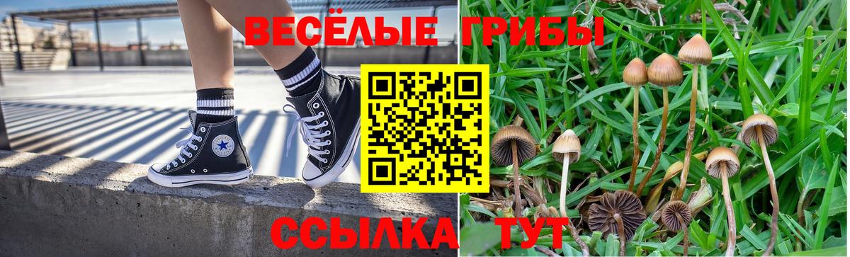 Галлюциногенные грибы MAGIC MUSHROOMS Сердобск